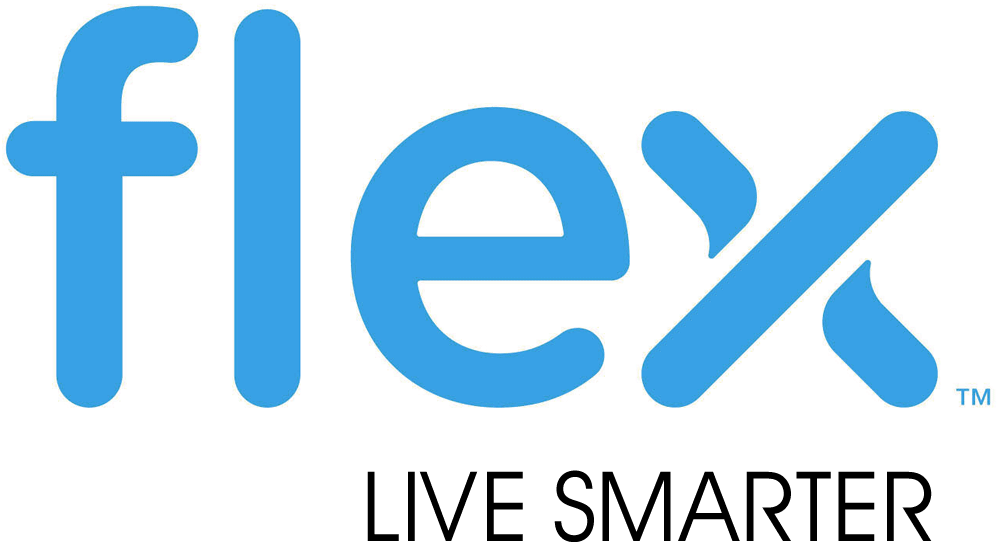 flex_logo_detail